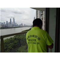 南沙灭白蚁 