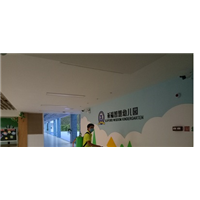 **灭白蚁 