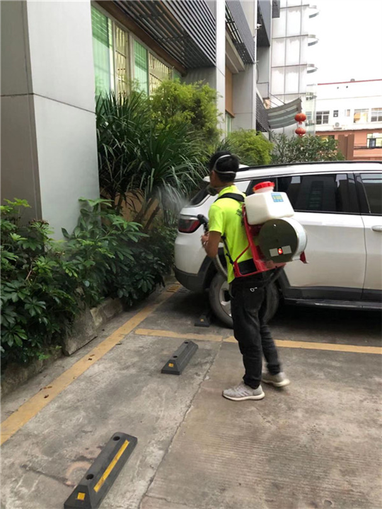 新造镇灭白蚁
