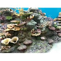 湖南塑石假山施工队