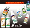 瓶形瓶标  