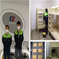 乐山专业除甲醛