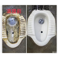 吉首酒吧疏通马桶公司哪家服务好