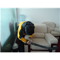 聊城保洁公司