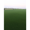 句容沙培果岭草坪直销$18796096968 