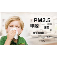 唐山除甲醛公司