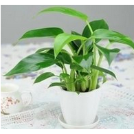 唐山哪家除甲醛公司好