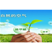 唐山哪家除甲醛公司好