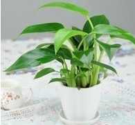 唐山哪家除甲醛公司好