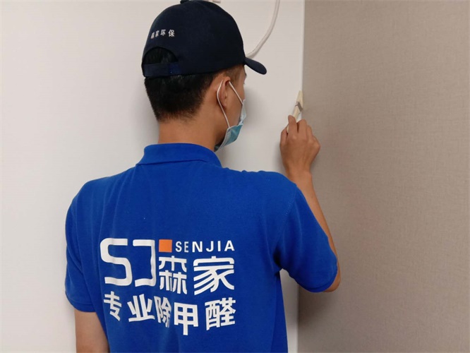 嘉峪关专业除甲醛公司