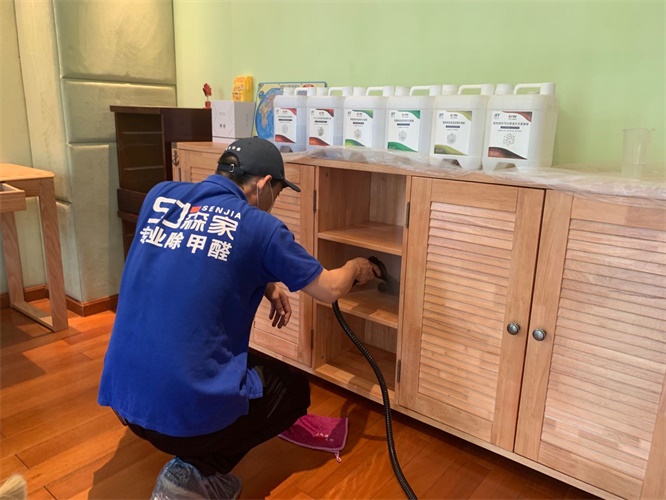 嘉峪关森家环保除甲醛
