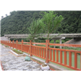 红豆杉苗木16