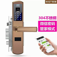 天府新区专业安装指纹锁公司 