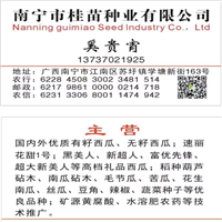 花生南瓜种子