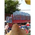 南宁育苗基质土厂家—南宁育苗基质土批发