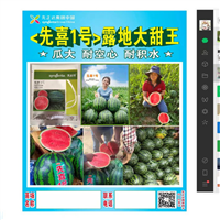 南宁种子批发市场