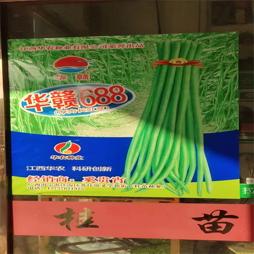 毛节瓜种子
