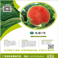 礼品西瓜种子