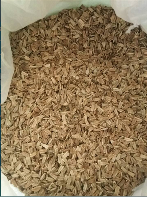 广西葫芦种价格，广西葫芦种批发
