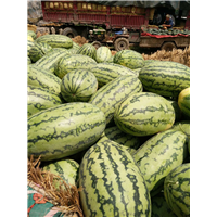 南宁黑美人西瓜代办中心，南宁西瓜代办