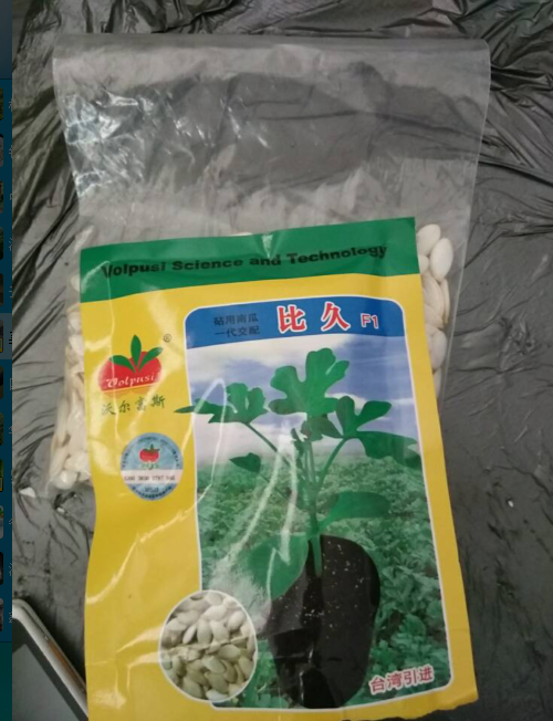 南宁南瓜种批发、南宁南瓜种供应商