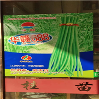 苦瓜种子