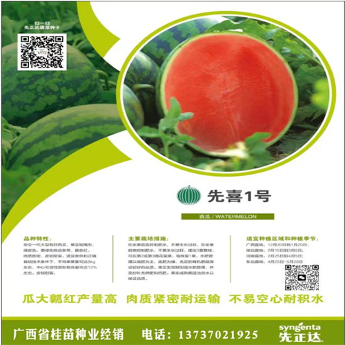 礼品西瓜种子