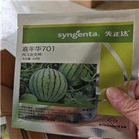 西瓜苗-西瓜的嫁接育苗技术