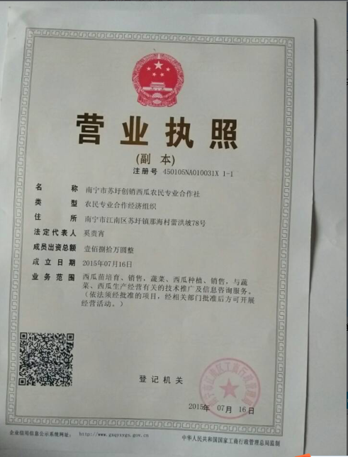 广西西瓜嫁接苗基地|广西西瓜嫁接苗批发
