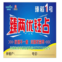 稻谷种子