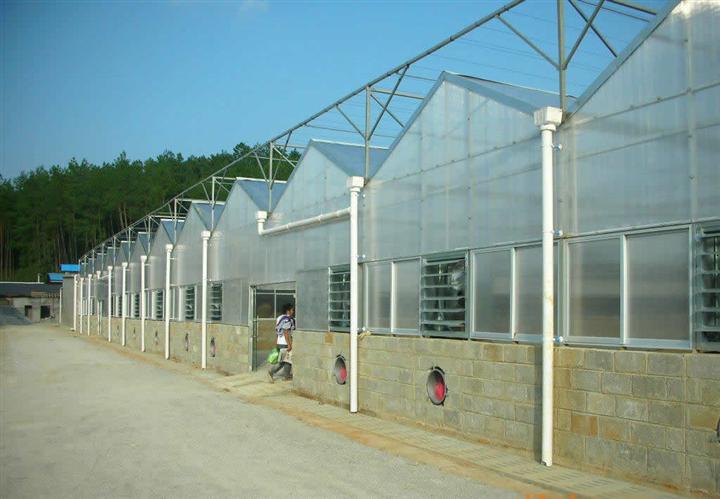 广州温室建造