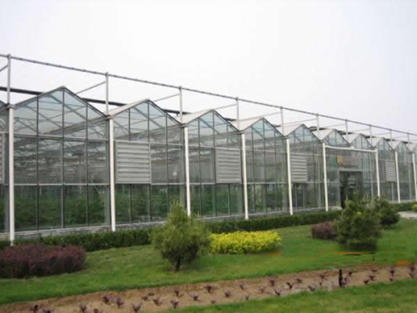 清远蔬菜大棚建造