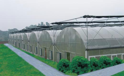 东莞蔬菜大棚建造
