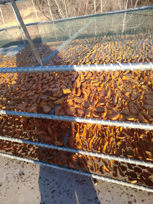 卢龙红薯干大量供应 