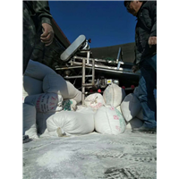 河北红薯淀粉市场价格 