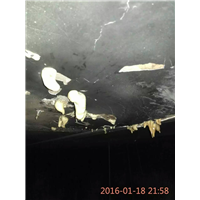 南安防水堵漏