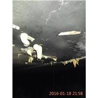 泉州防水补漏 
