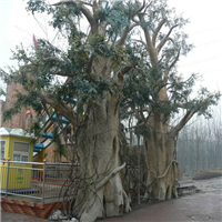 河池生态园，河池塑石假山设计 