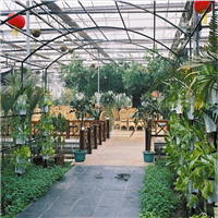 河池生态园，河池生态餐厅，河池生态农庄 