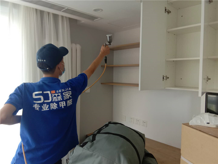 阳光豪庭甲醛治理