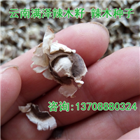 四川辣木籽 辣木种，辣木子供应商，辣木籽批发 