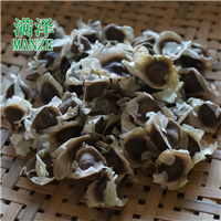 辣木籽/辣木种，辣木子，辣木籽供应商 