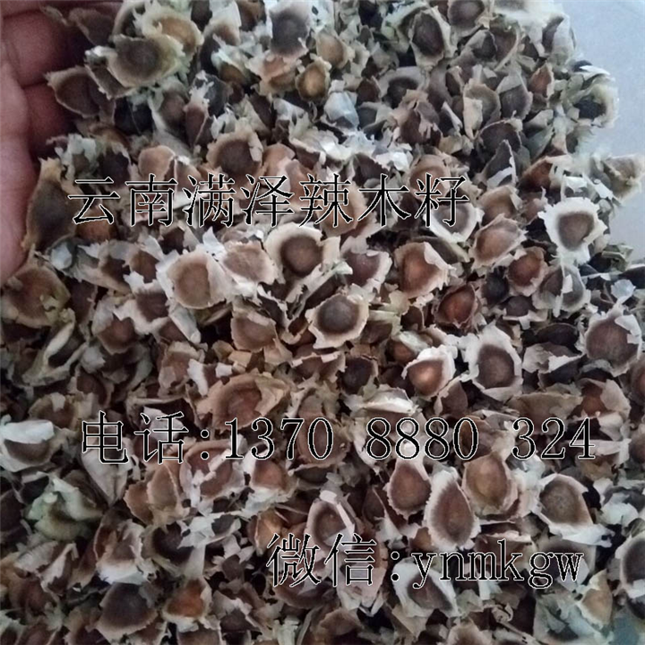 云南辣木籽哪里有卖，昆明辣木籽批发 