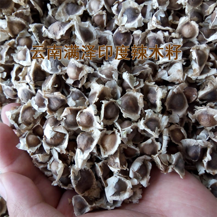 昆明辣木籽哪里卖，云南辣木籽昆明哪有卖 