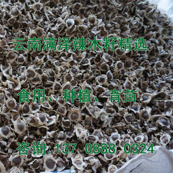 云南满泽辣木籽，辣木籽的作用，辣木籽的食用方法 