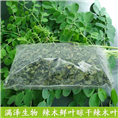 云南辣木叶，辣木叶价格，辣木叶吃法 
