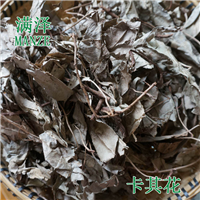 云南满泽卡其花，卡琪花蒂玛的供应批发 