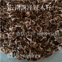 云南满泽辣木籽，云南辣木种植基地辣木产品供应批发 