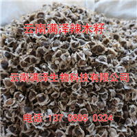 **辣木籽批发，辣木籽产品供应 
