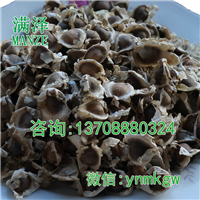 重庆辣木籽 辣木种，辣木子供应，辣木批发 